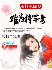 不打不成交:难为将军妻