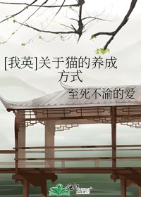 [我英]关于猫的养成方式