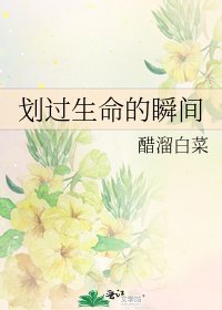划过生命的瞬间