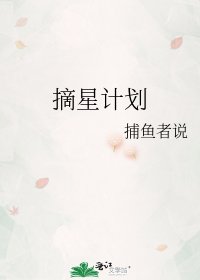 摘星计划