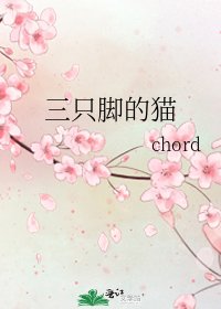 三隻啦的貓