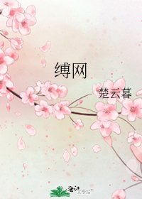 缚网