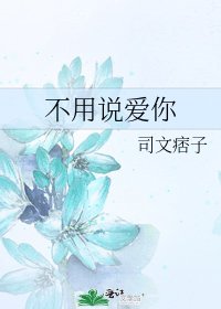 不用説愛你