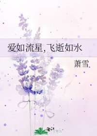《爱如流星,飞逝如水》