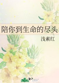 《陪你到生命的尽头》