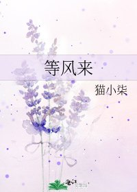 等风来